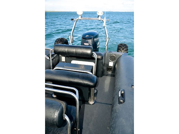 sealeg.jpg