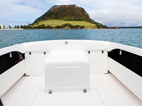 Caribbean 24 Flybridge Sports Fisher