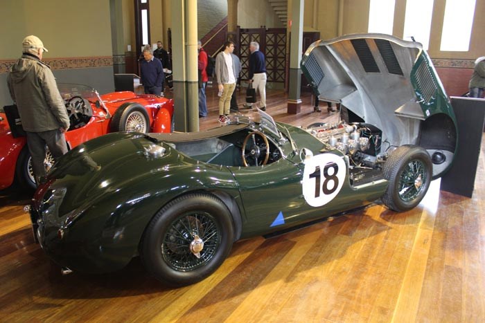 1951 Jaguar C-Type (Proteus Replica)