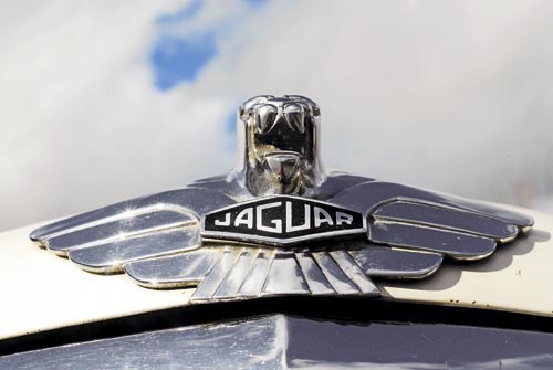 Buyers guide: Jaguar Mark VII-VIII-IX (1950-61)