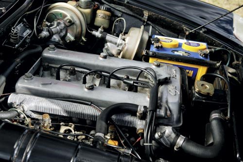 Alfa Romeo Spider (1966-94) engine