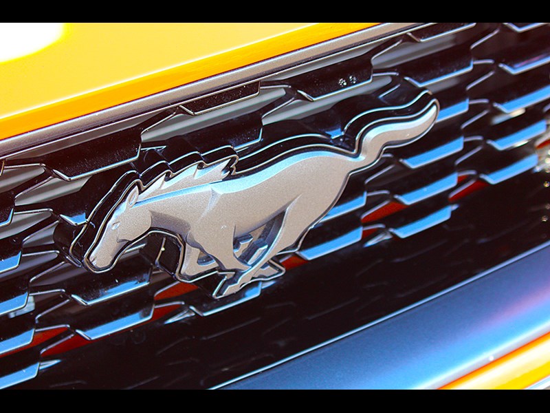 mustang emblem