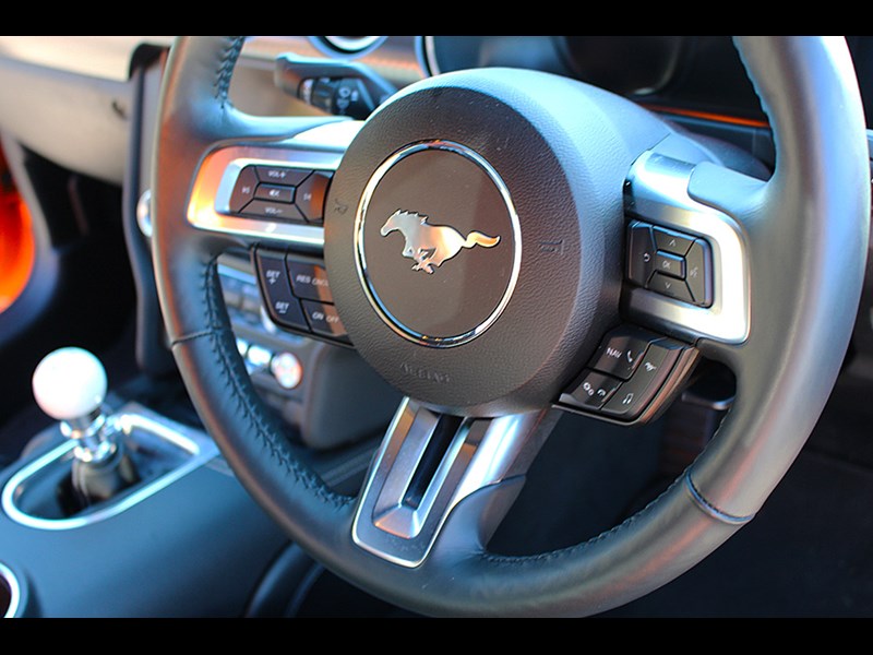 mustang steer