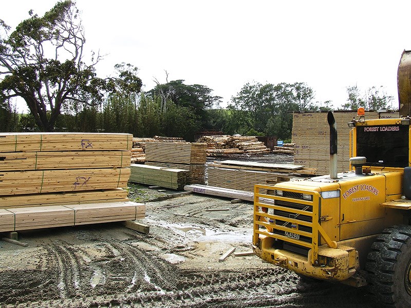 Forestry: Northpine Timber Mill in Waipu