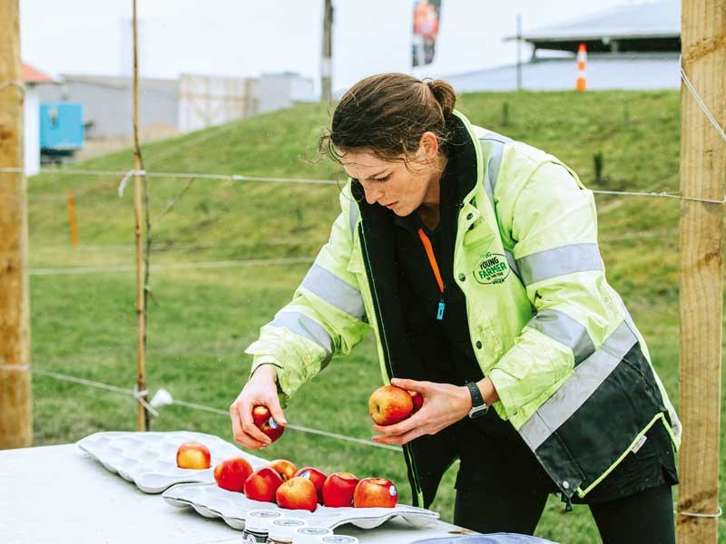 Emma Dangen sorts apples FMG Young Farmer of the Year