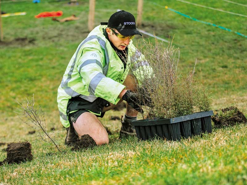 James Robertson prepares to plant seedlings FMG Young Farmer of the Year