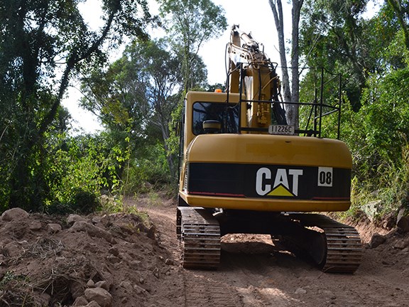 The working environment includes thick trees and scrub, with lantana up to 5m in height.