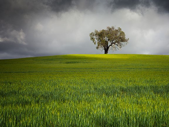 Climate Australia