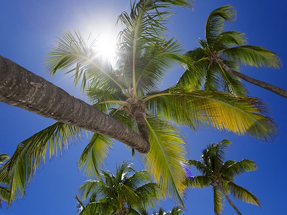 ‘Tropics’ may conjure images of sun-kissed islands, but the expanding tropical zone could bring drought and cyclones further south