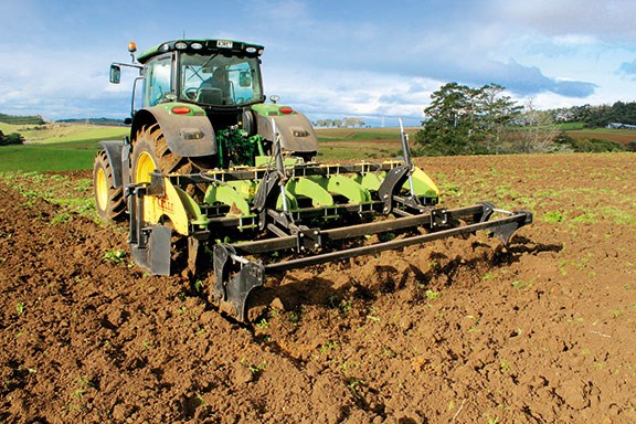 The Celli ripper at work
