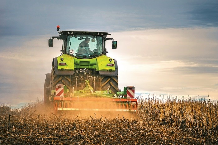 0379 Amazone Cenius 3002 mulch cultivator poppyclearing