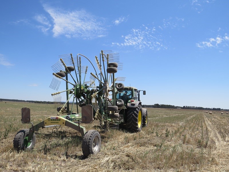 1884 Krone Swadro TC 880 Plus hay rake 2