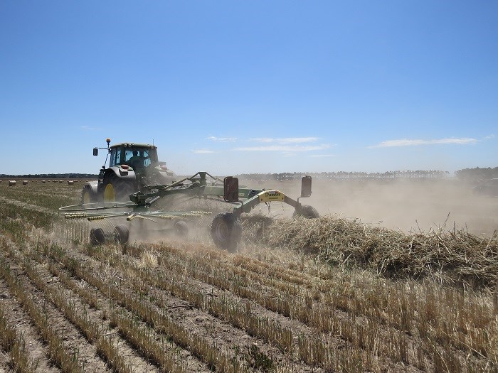 1898 Krone Swadro TC 880 Plus hay rake working