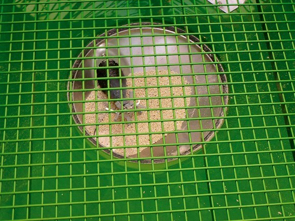 Amazone ZA TS Profis Hydro spreader grating