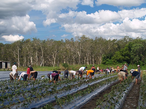 The Australian farming industry is worried about the impact that increasing tax on working backpackers will have on the availability of seasonal workers.
