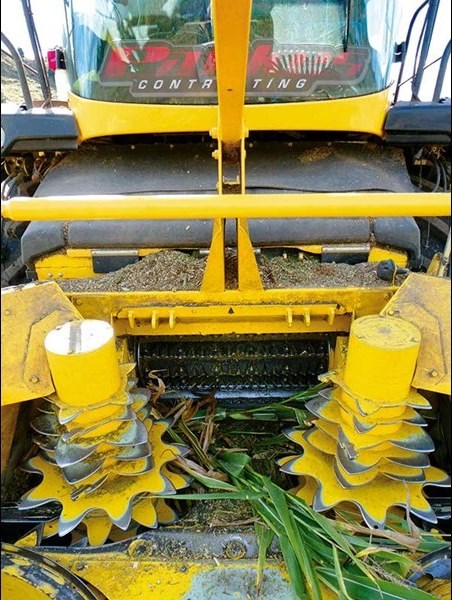 New Holland FR600 harvester Kemper header FR6009
