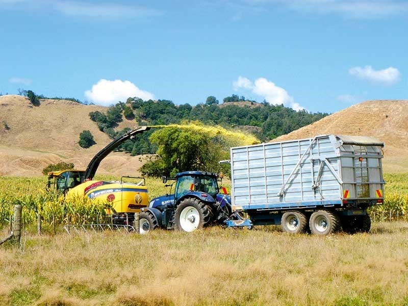 New Holland FR600 harvester unloading FR6002