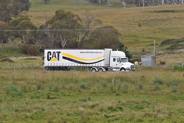 Cat CT13 CT610 ATN2