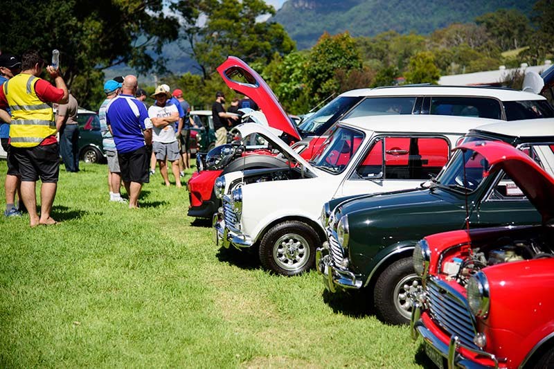 Minis in the Gong 36