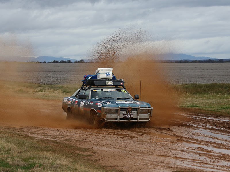 variety bash 32