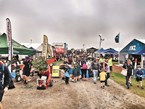 New Dawn for Sungold Field Days