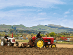 Event report: Ploughing matches and vintage machinery