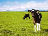 Farm advice: Are you using an ‘empty’ measure?