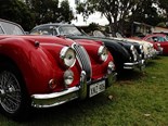Gallery: Jaguar National Rally 2016, Qld