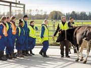 GoDairy provides opportunities for career changers