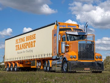 T909 stands out with flying colours