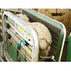 Racewell super sheep handler