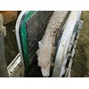 Racewell super sheep handler