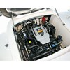 TAB206_Chaparral-3.jpg
