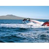 Flyboard5.jpg