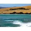 fishing the hokianga