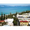 Napier