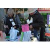 AgQuip fruit salad trees 2