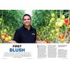 Costa tomatoes