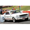 Geelong revival 2013