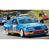 Geelong revival 2013