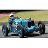 Geelong revival 2013