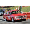 Geelong revival 2013
