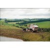 Lely Cosmix M feeding station