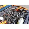 mustang eng