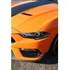 mustang nose