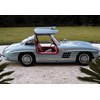 mercedes benz 300sl gullwing side
