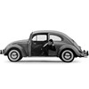 beetle
