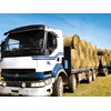 Wilson contracting profile