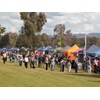 Something for everyone: Part of the crowd on the foreshore of Wagga’s Lake Albert.