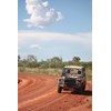 Landy1